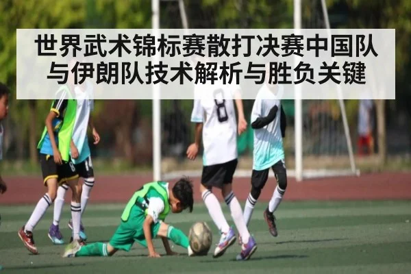 世界武术锦标赛散打决赛中国队与伊朗队技术解析与胜负关键